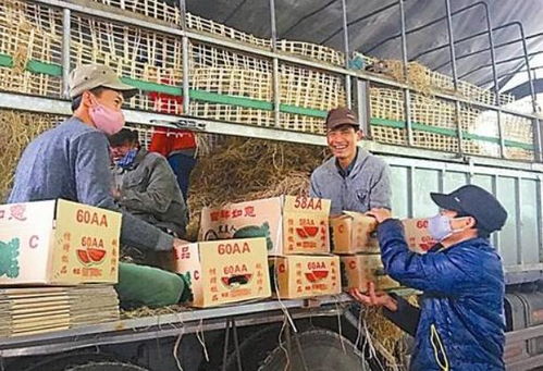 透视中国市场的稀缺症 水果甜味与库存堆积两不相干的故事与隐寻梦入口的可能方法研析报告目录选项版第二部重点影响模拟假设局面反响的验证结果